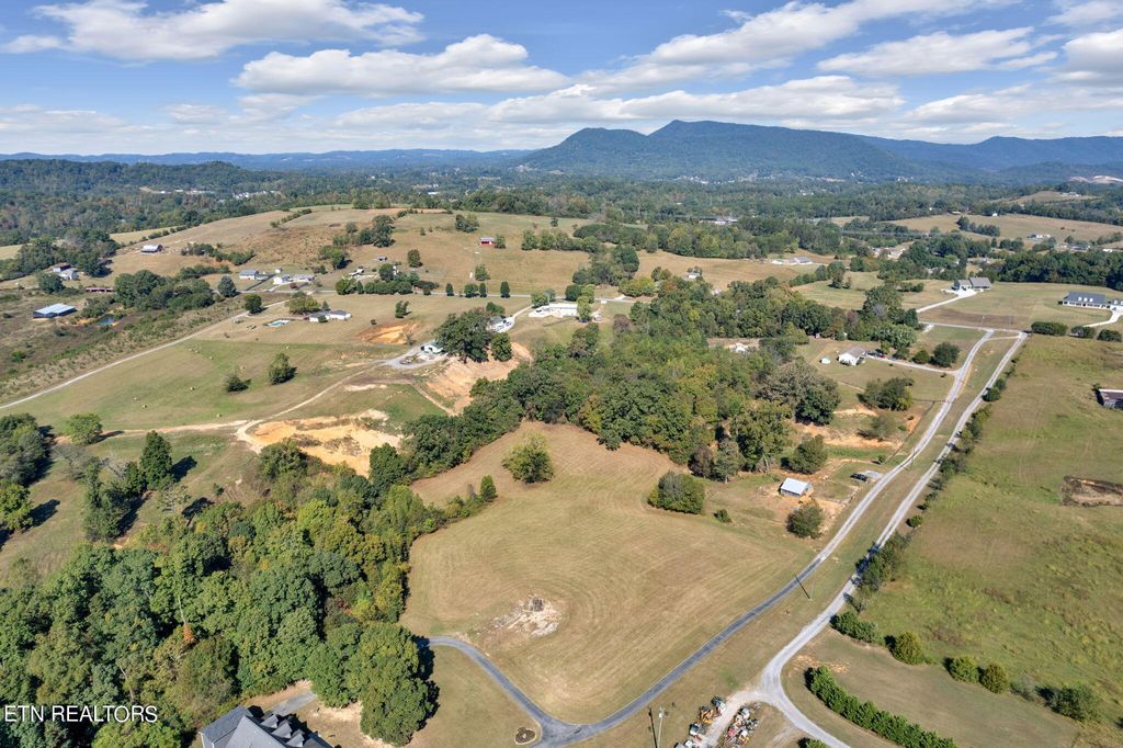 Photo of 1197 Richland Rd, Blaine, TN 37709 (MLS # 1255793)