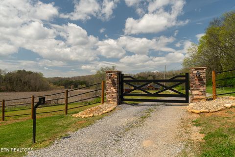 Tiny photo for 877 Eslinger Rd, New Market, TN 37820 (MLS # 1335298)