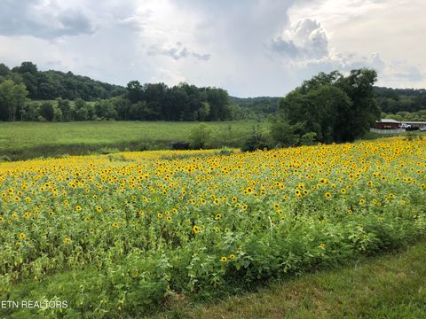 Tiny photo for 877 Eslinger Rd, New Market, TN 37820 (MLS # 1335298)