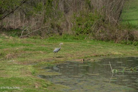 Tiny photo for 877 Eslinger Rd, New Market, TN 37820 (MLS # 1335298)