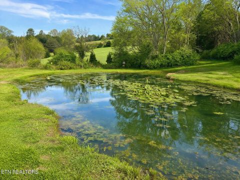 Tiny photo for 877 Eslinger Rd, New Market, TN 37820 (MLS # 1335298)