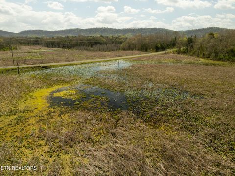 Tiny photo for 877 Eslinger Rd, New Market, TN 37820 (MLS # 1335298)