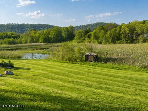 Tiny photo for 877 Eslinger Rd, New Market, TN 37820 (MLS # 1335298)