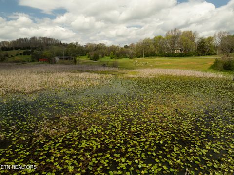 Tiny photo for 877 Eslinger Rd, New Market, TN 37820 (MLS # 1335298)