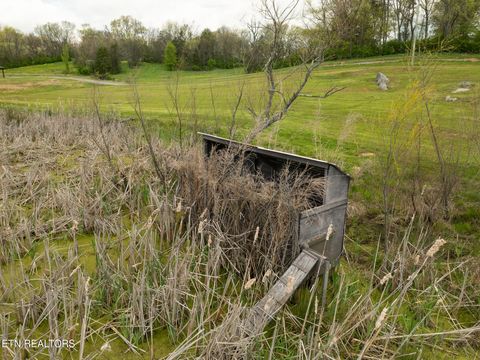 Tiny photo for 877 Eslinger Rd, New Market, TN 37820 (MLS # 1335298)