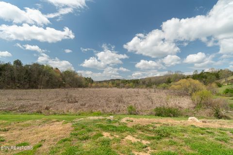 Tiny photo for 877 Eslinger Rd, New Market, TN 37820 (MLS # 1335298)