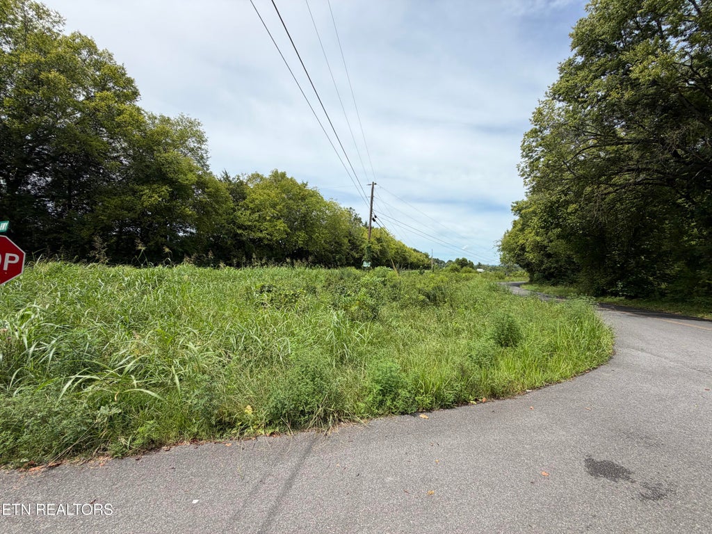 Photo of 0 E Hwy2570, Dandridge, TN 37725 (MLS # 1354298)