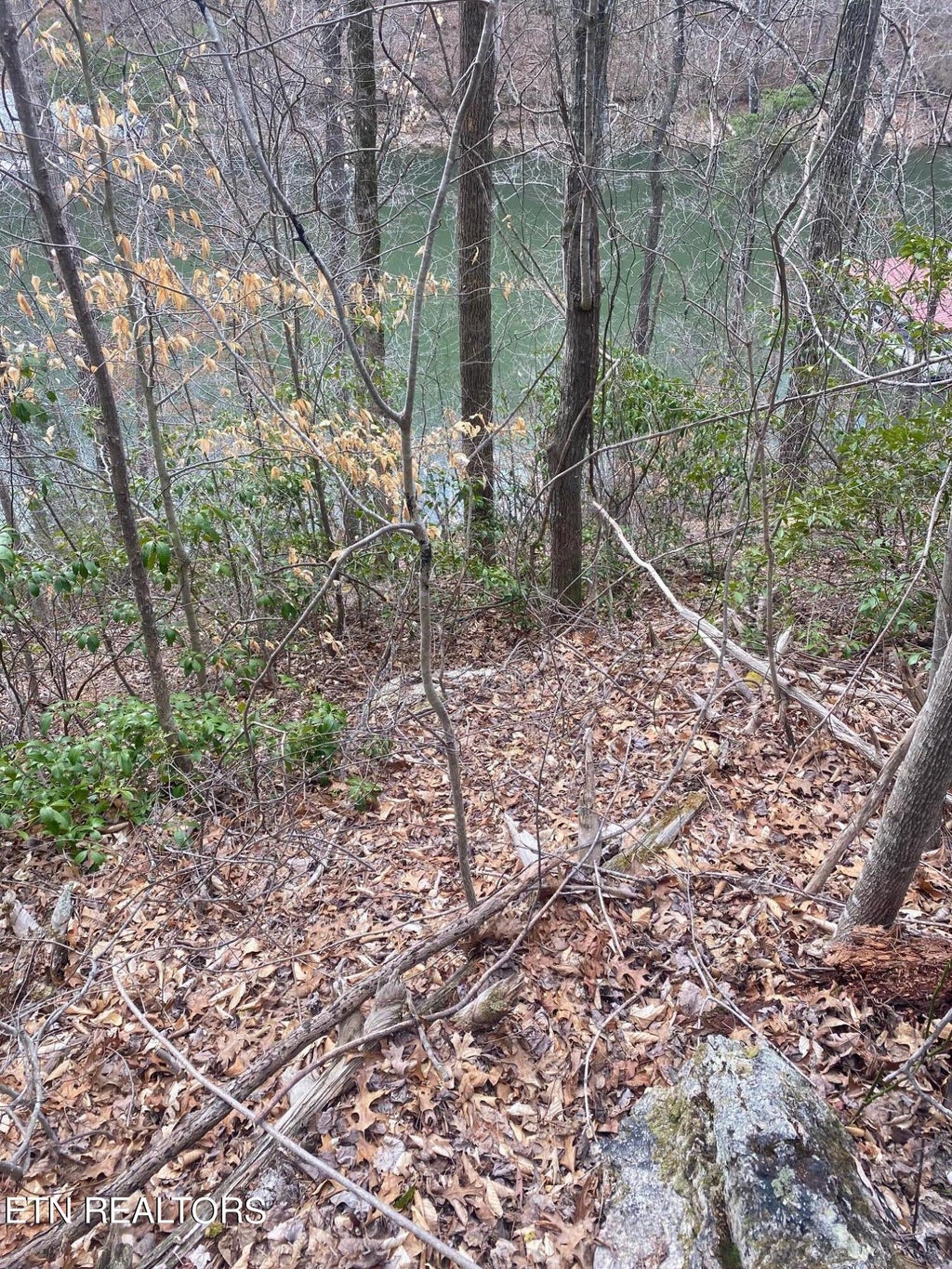 Photo of Nona Way Lane, Caryville, TN 37714 (MLS # 1243592)