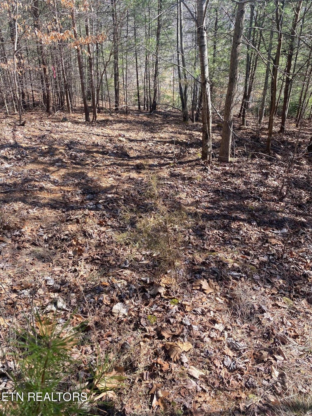 Photo of Nona Way Lane, Caryville, TN 37714 (MLS # 1243592)