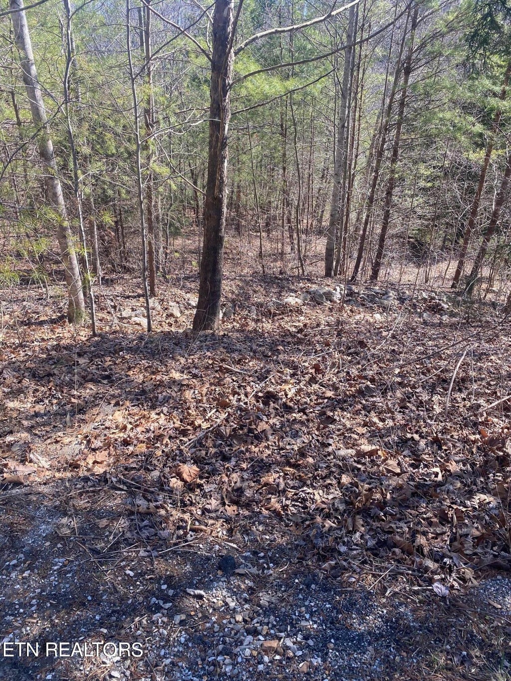 Photo of Nona Way Lane, Caryville, TN 37714 (MLS # 1243592)
