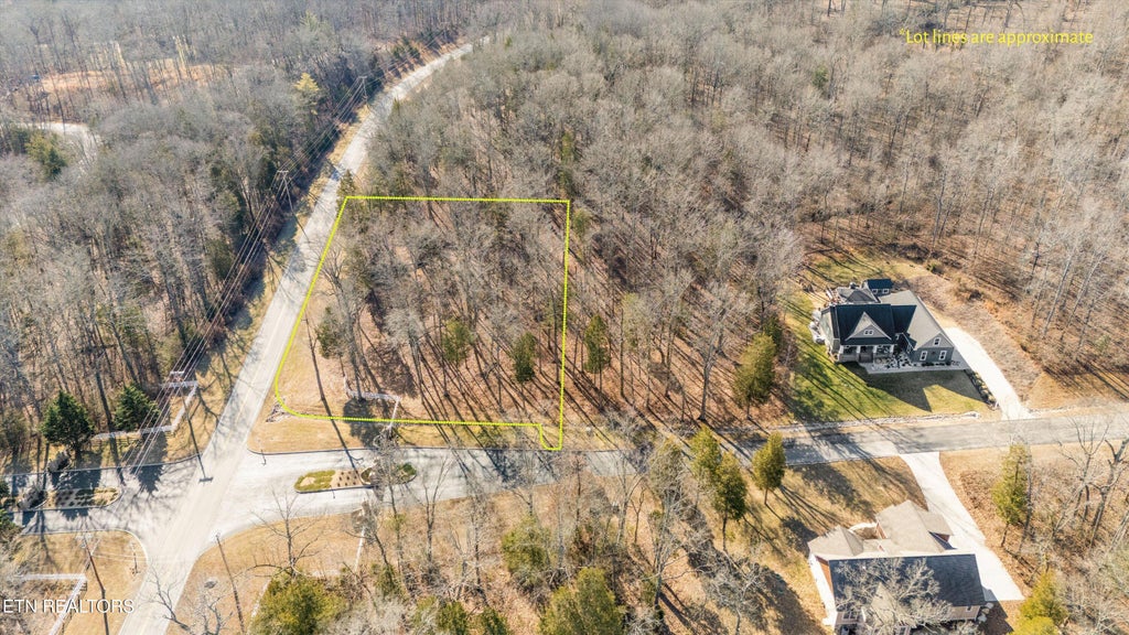 Photo of 380 Walking Horse Tr, Rockwood, TN 37854 (MLS # 1351397)