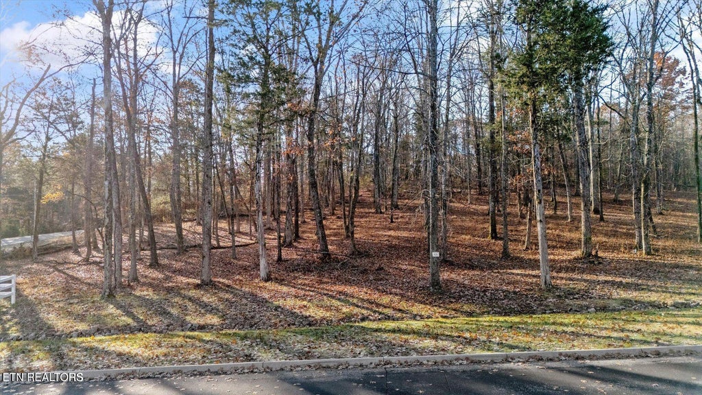 Photo of 380 Walking Horse Tr, Rockwood, TN 37854 (MLS # 1351397)