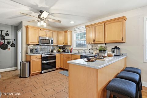 Tiny photo for 104 Coyote Circle, Vonore, TN 37885 (MLS # 1329837)