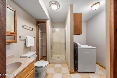 Tiny photo for 345 Old Leadmine Bend Rd, Sharps Chapel, TN 37866 (MLS # 1332953)