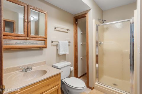 Tiny photo for 345 Old Leadmine Bend Rd, Sharps Chapel, TN 37866 (MLS # 1332953)