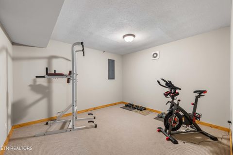 Tiny photo for 345 Old Leadmine Bend Rd, Sharps Chapel, TN 37866 (MLS # 1332953)