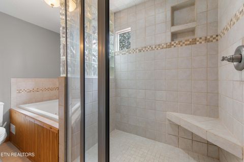 Tiny photo for 345 Old Leadmine Bend Rd, Sharps Chapel, TN 37866 (MLS # 1332953)