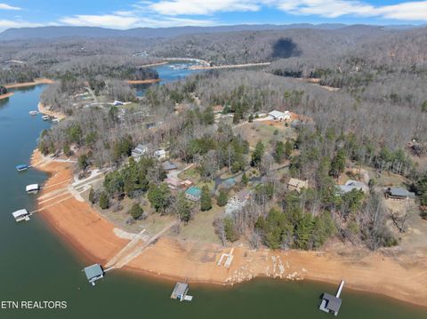 Tiny photo for 345 Old Leadmine Bend Rd, Sharps Chapel, TN 37866 (MLS # 1332953)