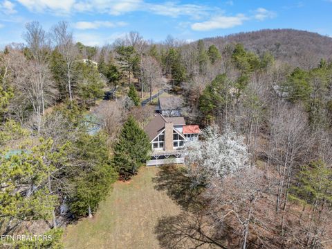 Tiny photo for 345 Old Leadmine Bend Rd, Sharps Chapel, TN 37866 (MLS # 1332953)