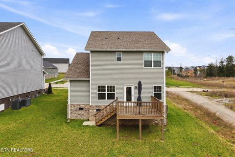 Tiny photo for 160 E Elderberry St, Oak Ridge, TN 37830 (MLS # 1333130)