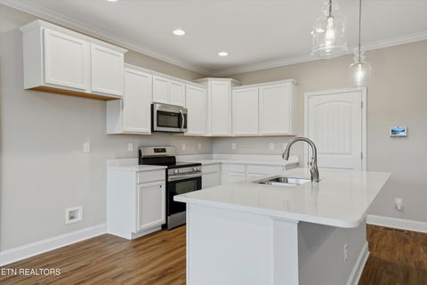 Tiny photo for 160 E Elderberry St, Oak Ridge, TN 37830 (MLS # 1333130)