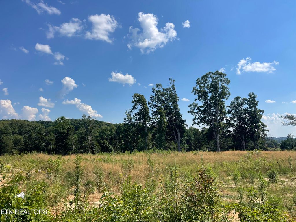 Photo of 21 Laura Boling Loop Rd, Strawberry Plains, TN 37871 (MLS # 1307396)