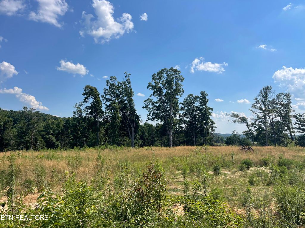 Photo of 21 Laura Boling Loop Rd, Strawberry Plains, TN 37871 (MLS # 1307396)