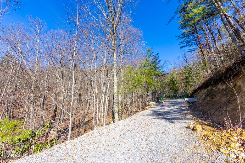 Photo of Scout Way, Cosby, TN 37722 (MLS # 1330455)
