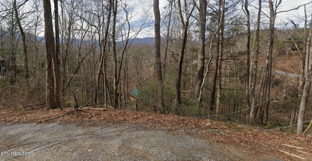 Photo of Shady Grove Lane, Gatlinburg, TN 37738 (MLS # 1303882)