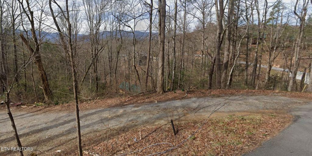 Photo of Shady Grove Lane, Gatlinburg, TN 37738 (MLS # 1303882)