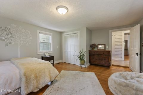 Tiny photo for 922 Gratz St, Knoxville, TN 37917 (MLS # 1340479)