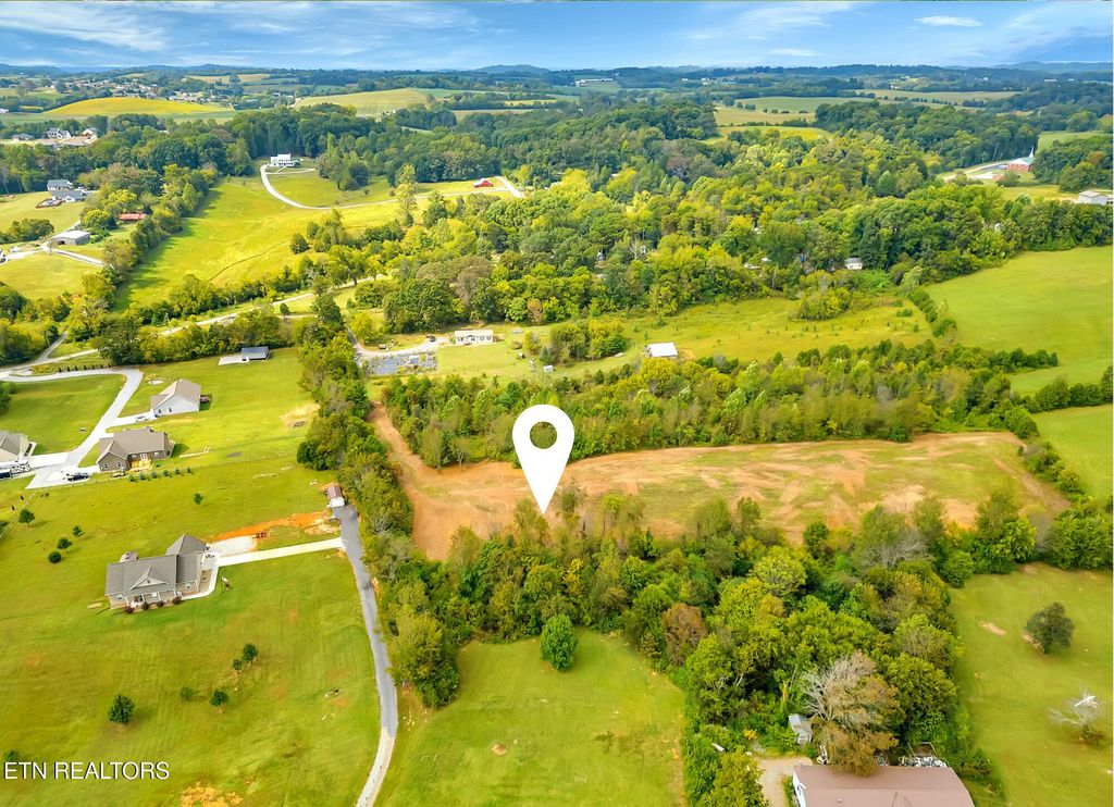 Photo of 4732 Salem Rd, Greenback, TN 37742 (MLS # 1316473)