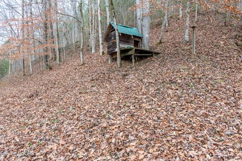 Tiny photo for 6217 Old Walland Hwy, Walland, TN 37886 (MLS # 1323663)