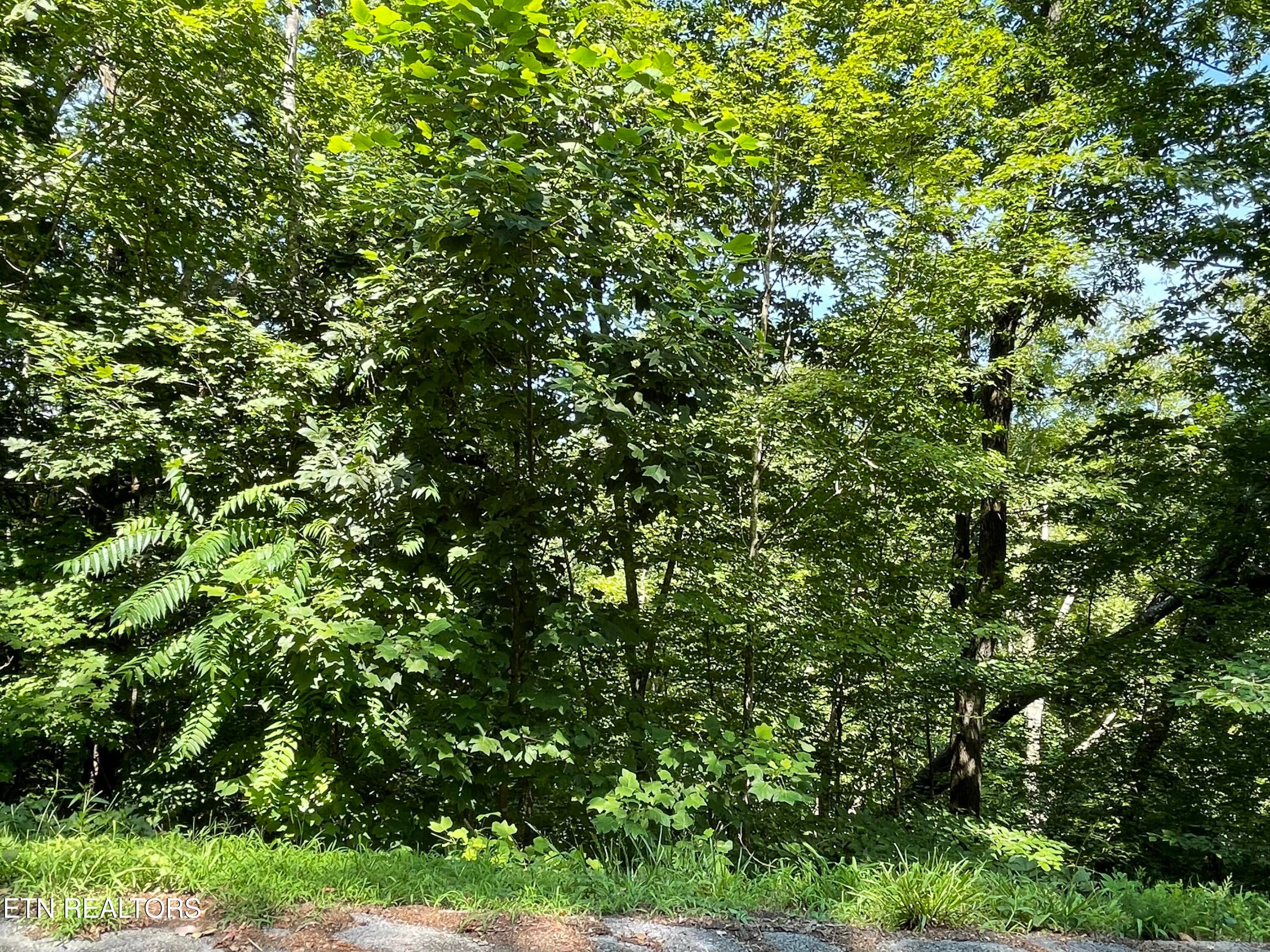 Lot 926 Stoneway Court