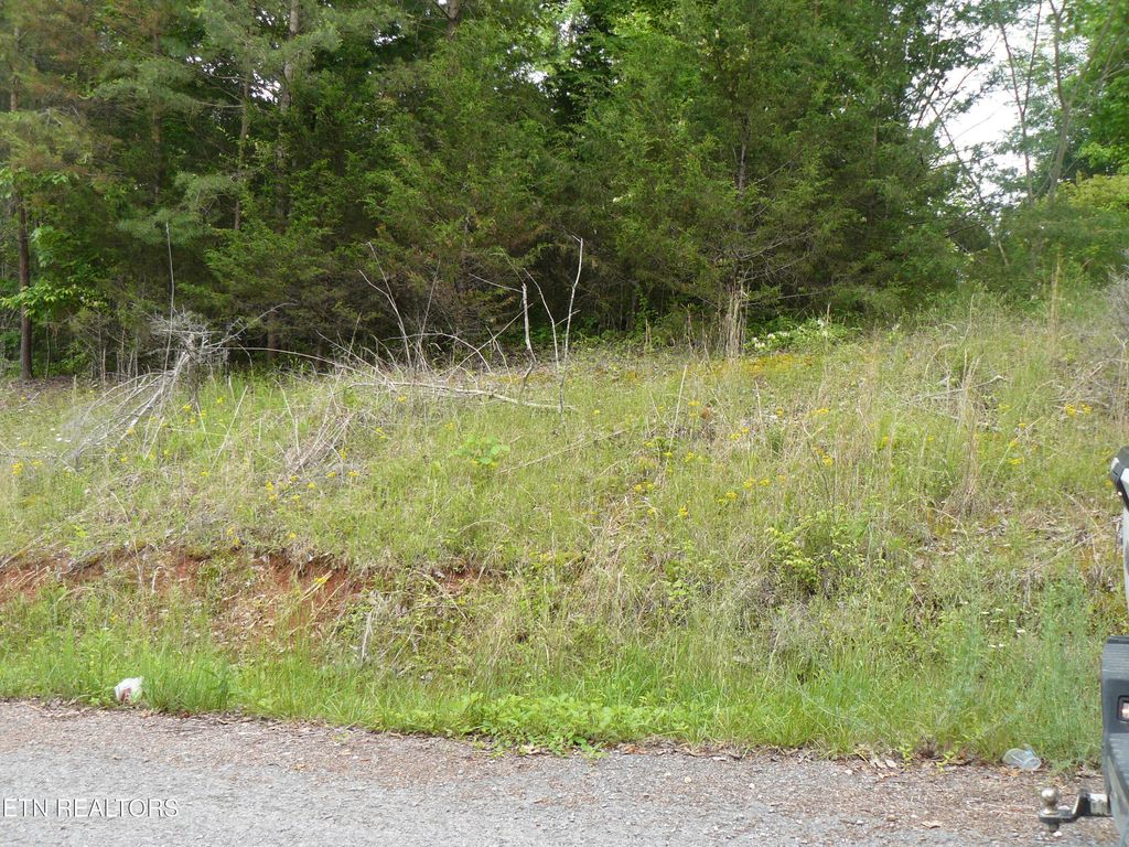 Photo of 154 Beamer Rd, Tazewell, TN 37879 (MLS # 1299176)
