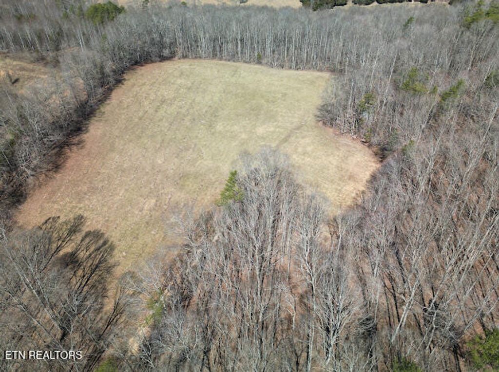 Photo of 303 Tar Town Hollow Lane, LaFollette, TN 37766 (MLS # 1332539)