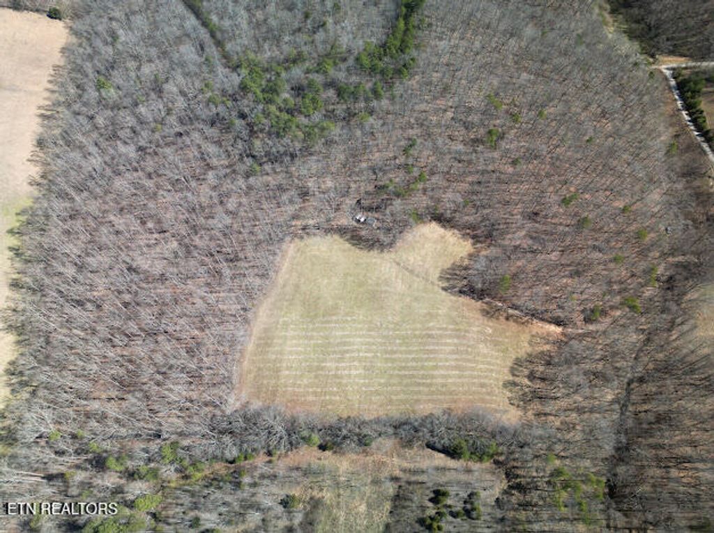 Photo of 303 Tar Town Hollow Lane, LaFollette, TN 37766 (MLS # 1332539)