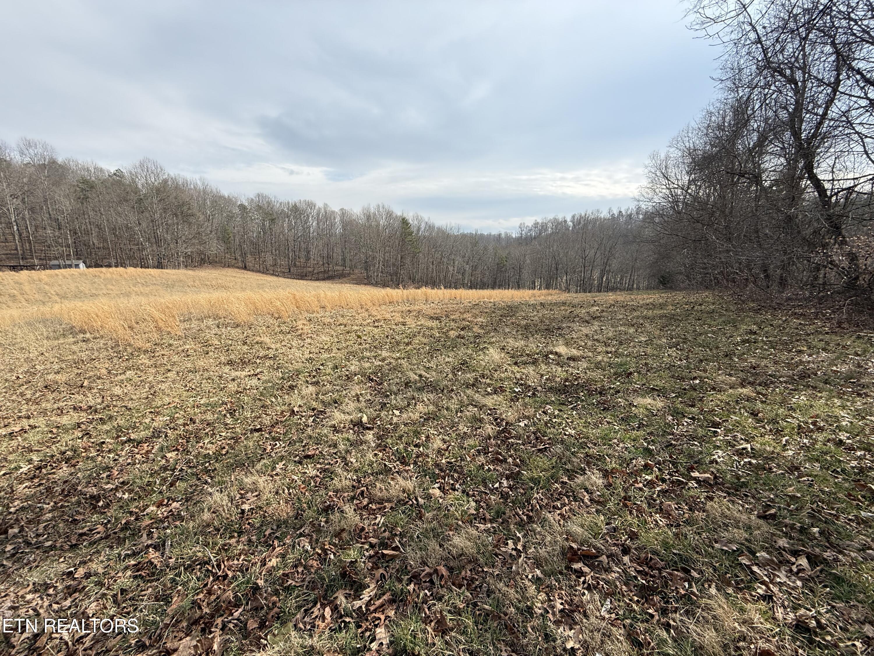 303 Tar Town Hollow Lane