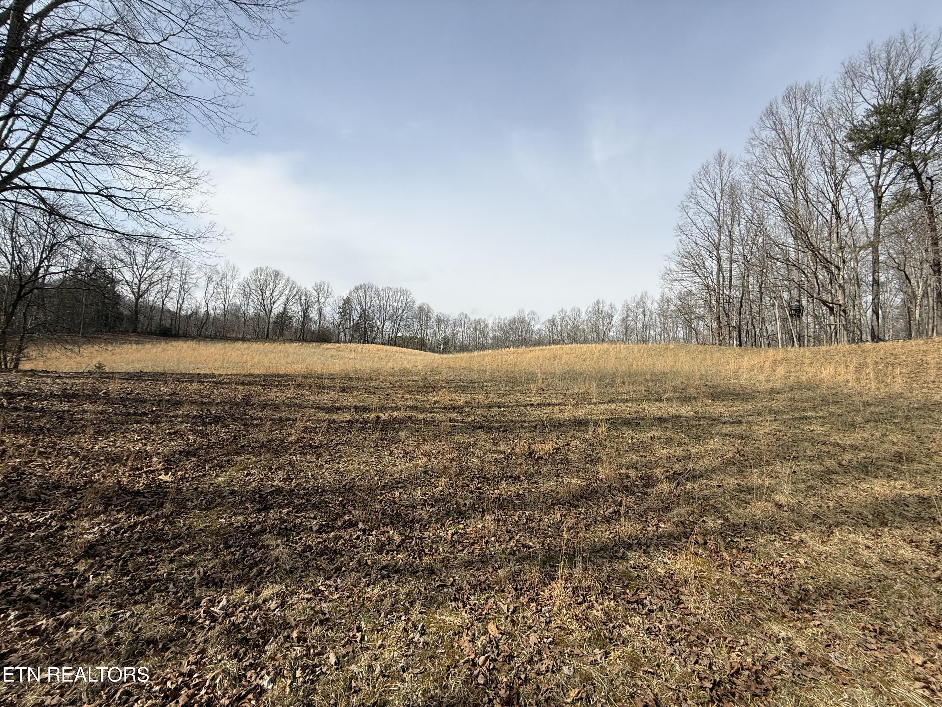 303 Tar Town Hollow Lane