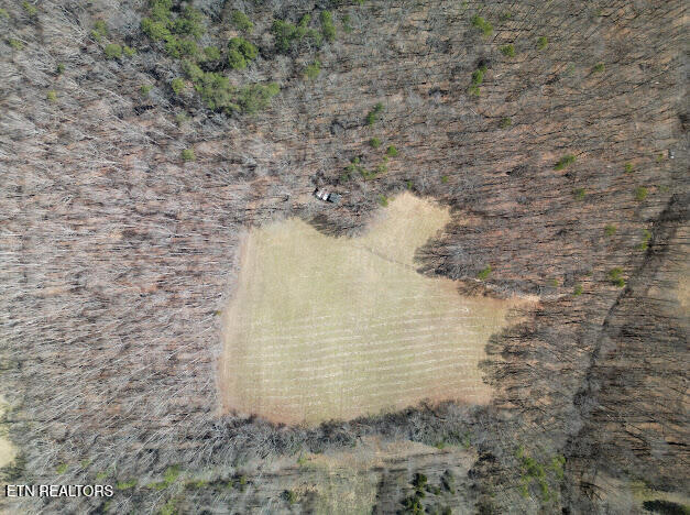 303 Tar Town Hollow Lane