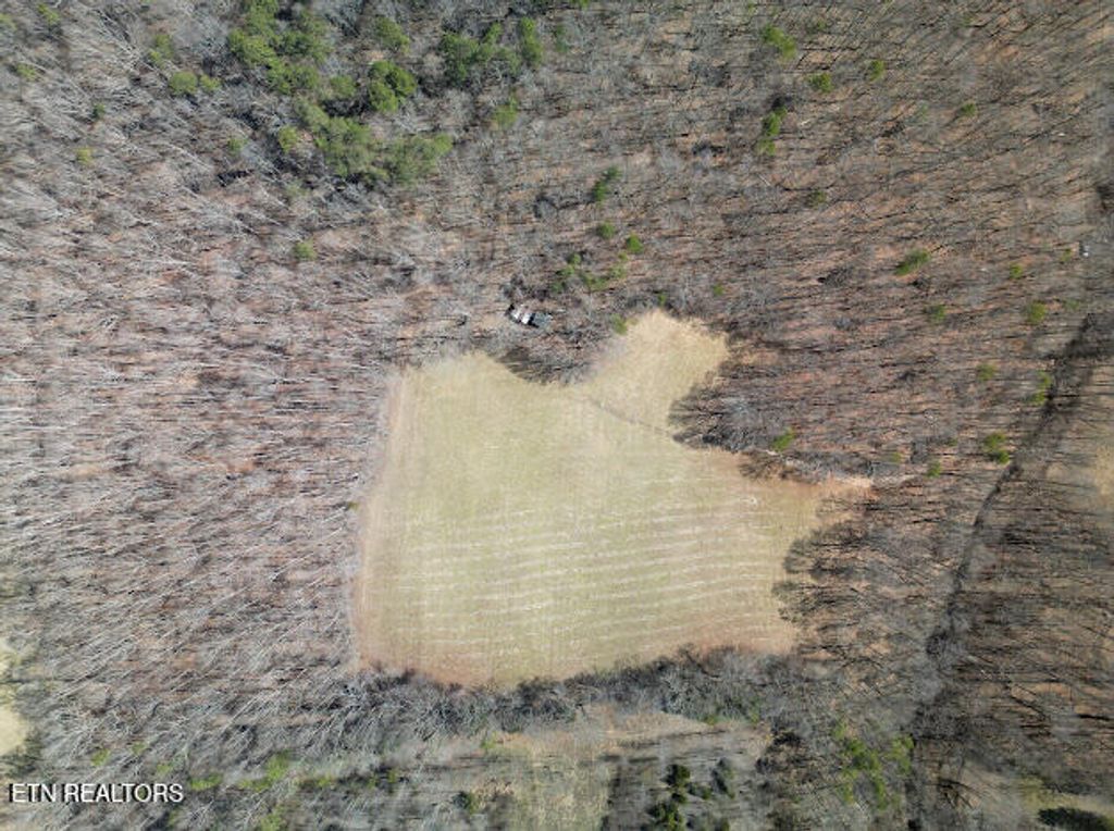 Photo of 303 Tar Town Hollow Lane, LaFollette, TN 37766 (MLS # 1332539)