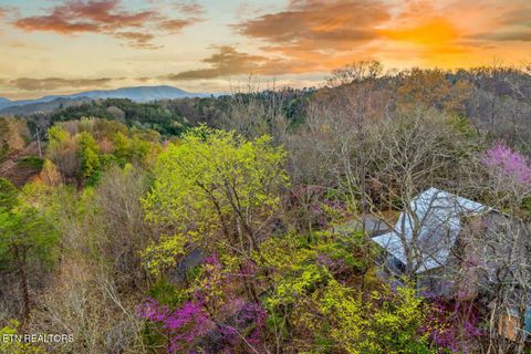 Tiny photo for 901903 Sunrise Blvd, Sevierville, TN 37862 (MLS # 1327583)