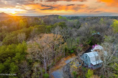 Tiny photo for 901903 Sunrise Blvd, Sevierville, TN 37862 (MLS # 1327583)