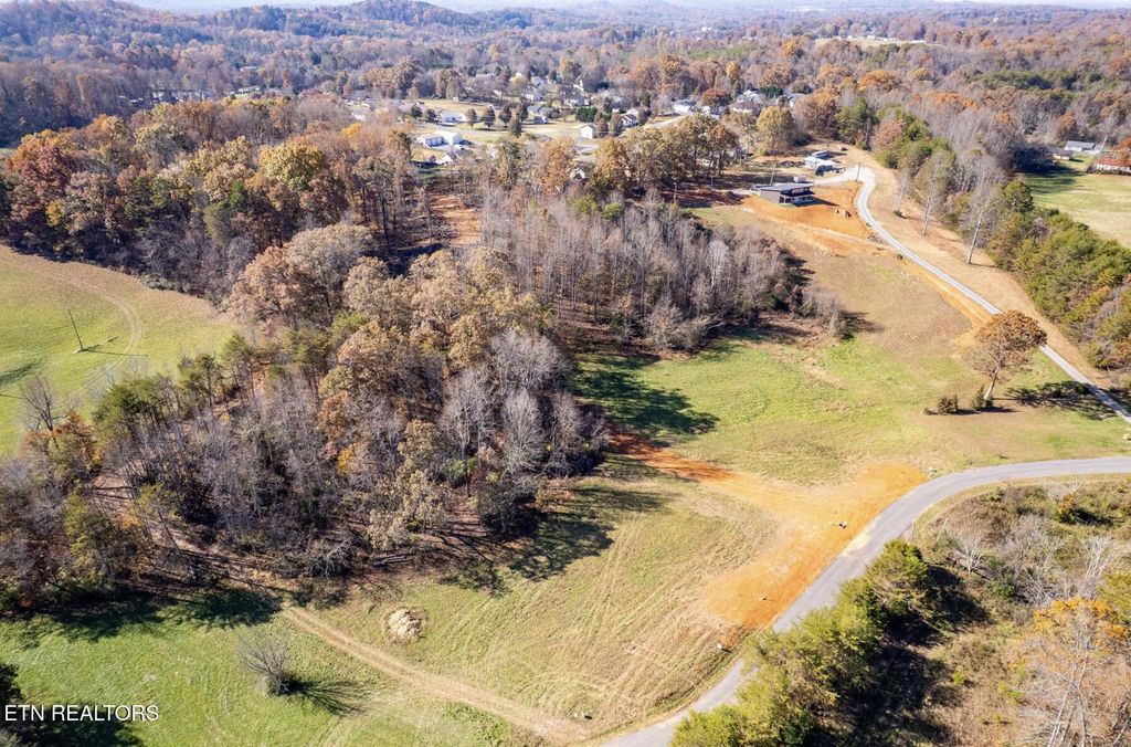 Photo of 4613 Huffaker Drive, Strawberry Plains, TN 37871 (MLS # 1321572)