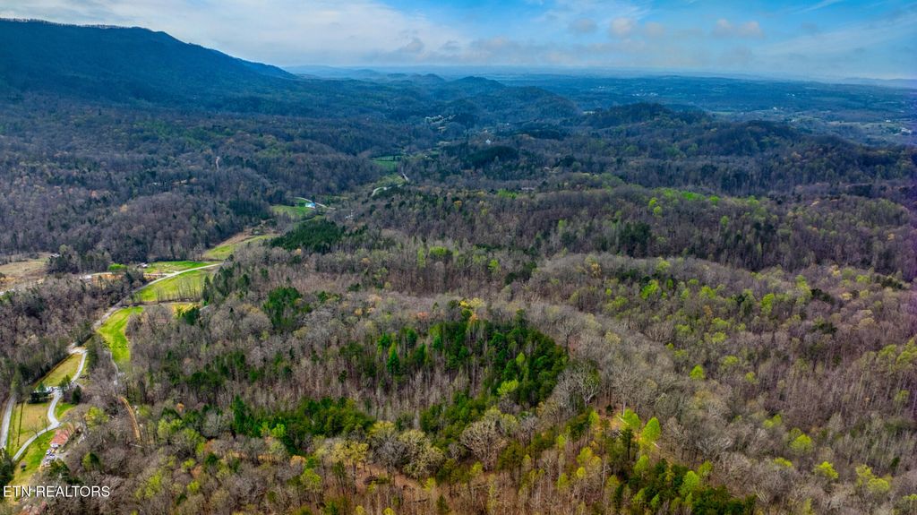 Photo of Old Chilhowee Tract 2 Rd, Seymour, TN 37865 (MLS # 1348371)