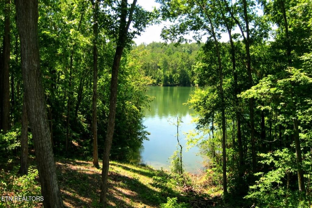 Photo of 1129 Peninsula Rd, Sevierville, TN 37876 (MLS # 1322856)