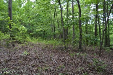 Photo of 6 Forest Trails Lane, Celina, TN 38551 (MLS # 1338480)