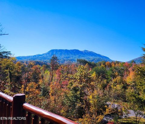 Tiny photo for 670 Magic Kingdom Ln, Sevierville, TN 37876 (MLS # 1317833)