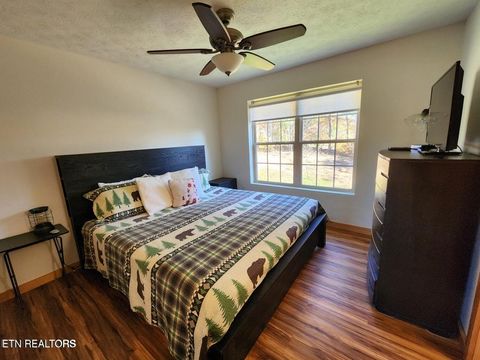 Tiny photo for 670 Magic Kingdom Ln, Sevierville, TN 37876 (MLS # 1317833)