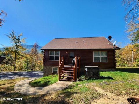 Tiny photo for 670 Magic Kingdom Ln, Sevierville, TN 37876 (MLS # 1317833)